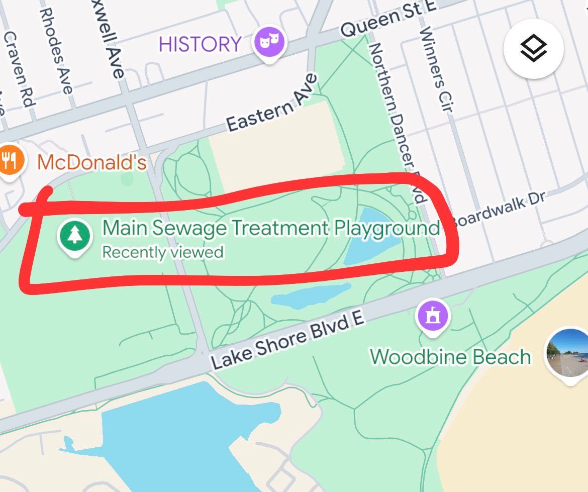 Toronto Trash Panda tweet media