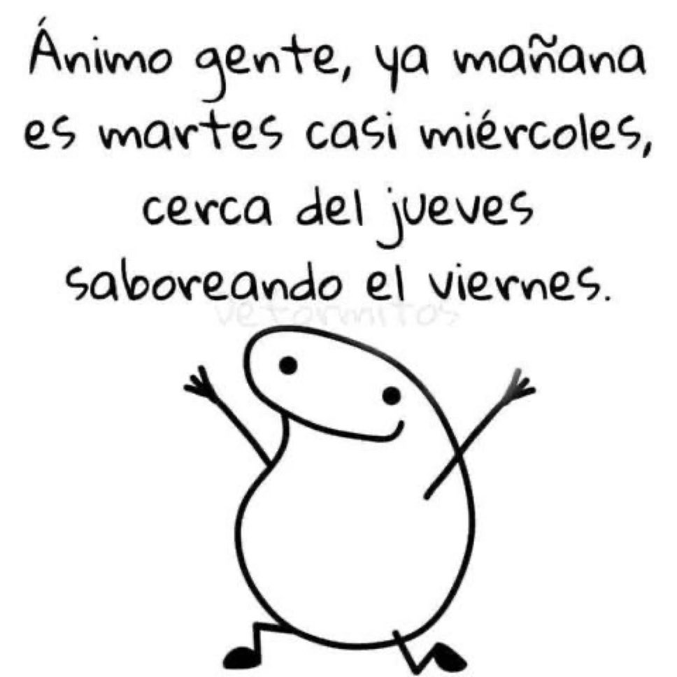 Fabiolacarolina tweet media