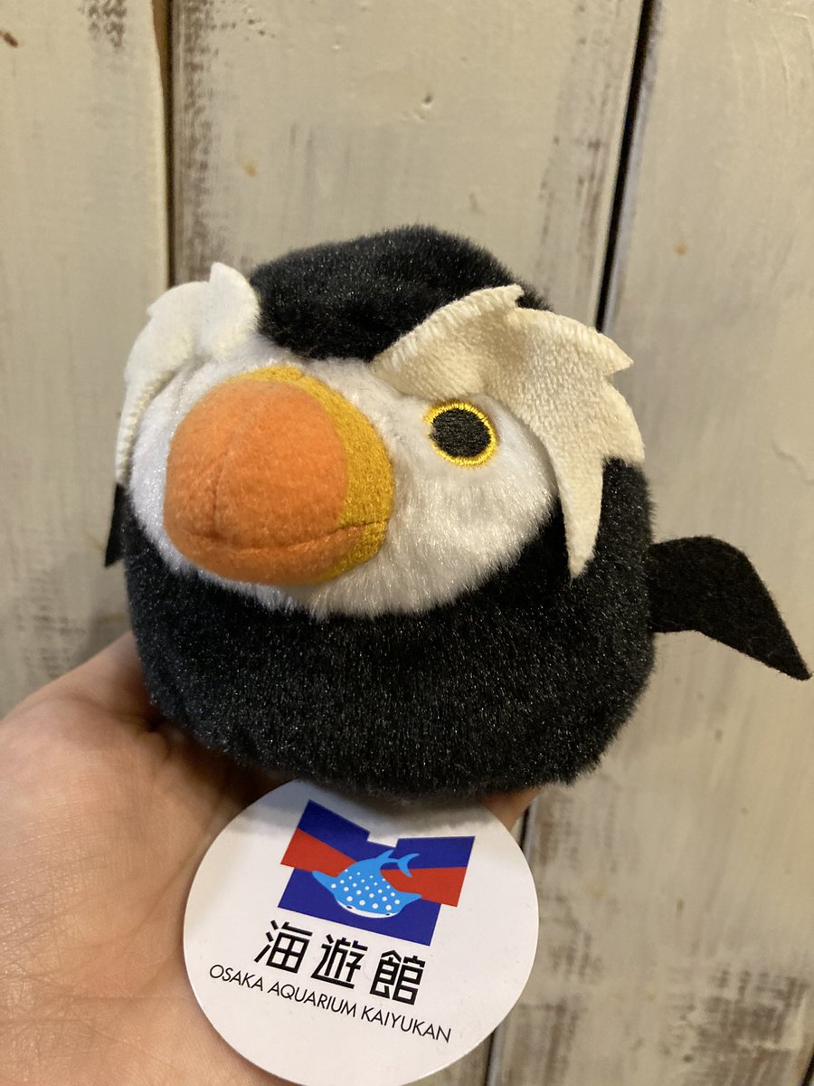 サつき tweet media
