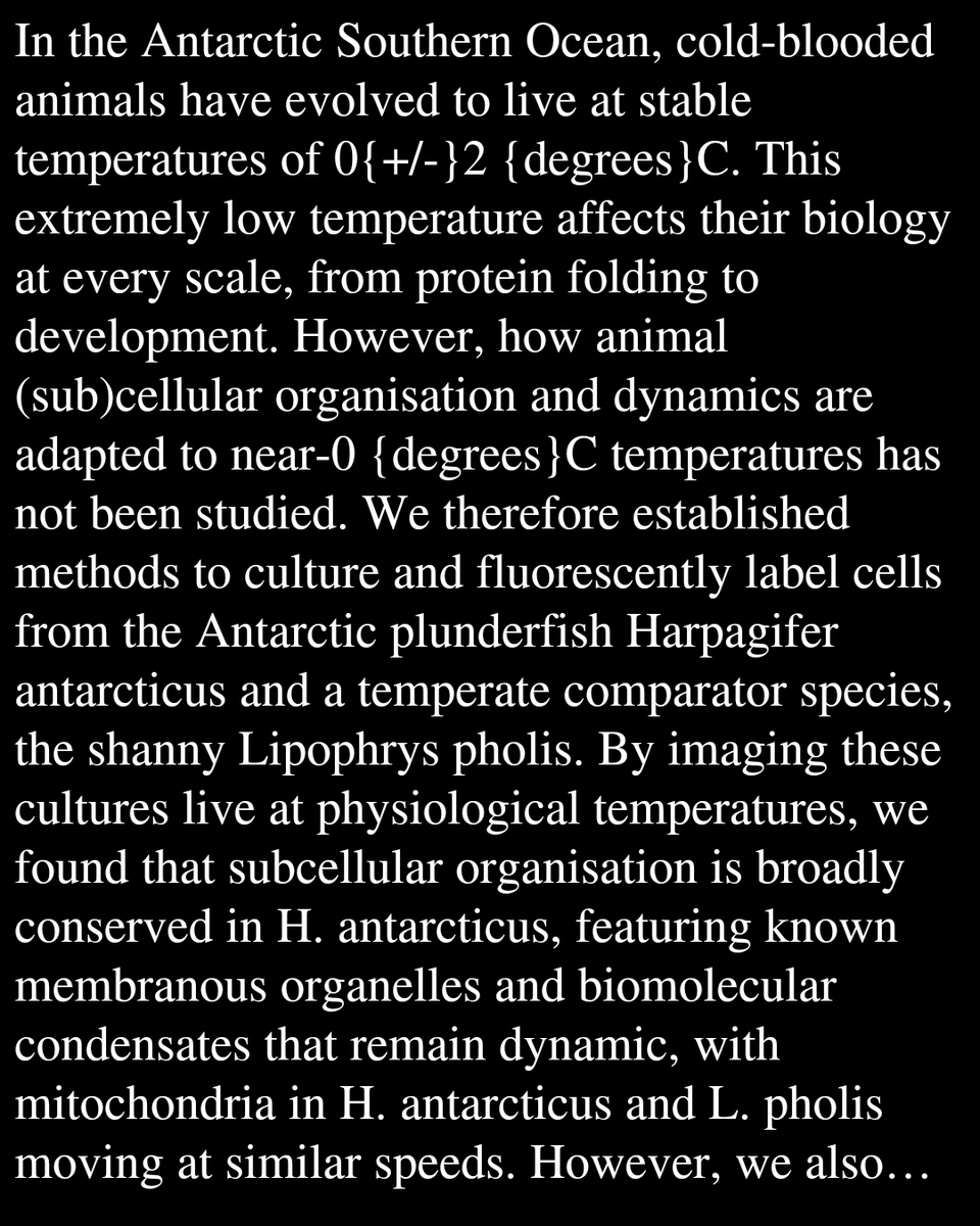 Cell Behavior Papers tweet media