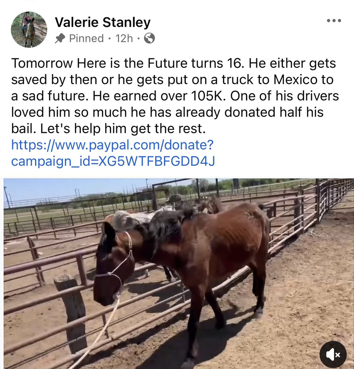 Two Wild Hearts Sanctuary tweet media