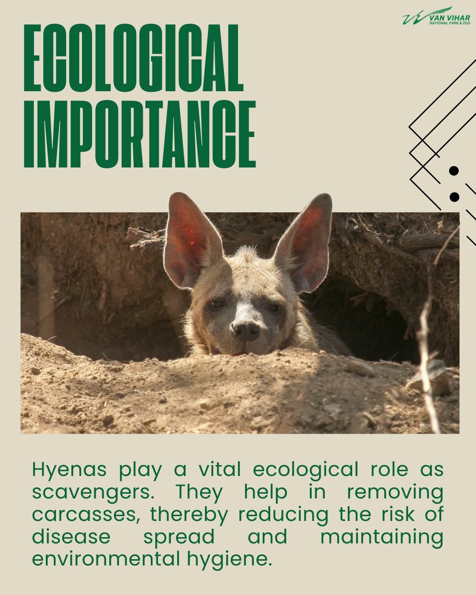 Van Vihar National Park tweet media