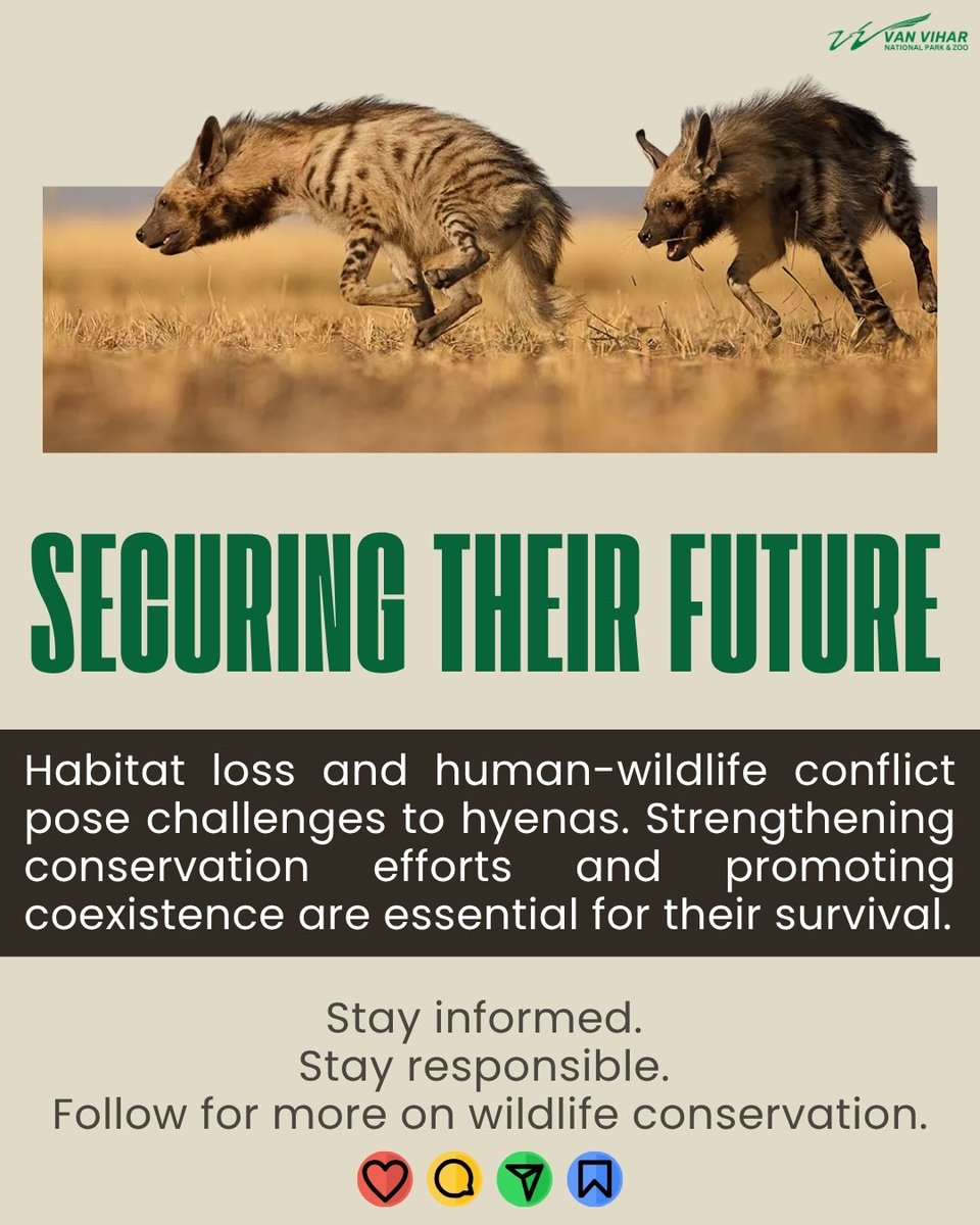 Van Vihar National Park tweet media