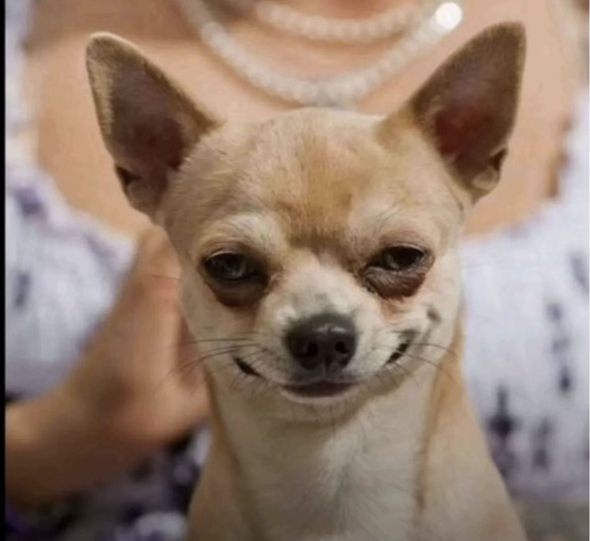 NO CONTEXT SAVAGE tweet media