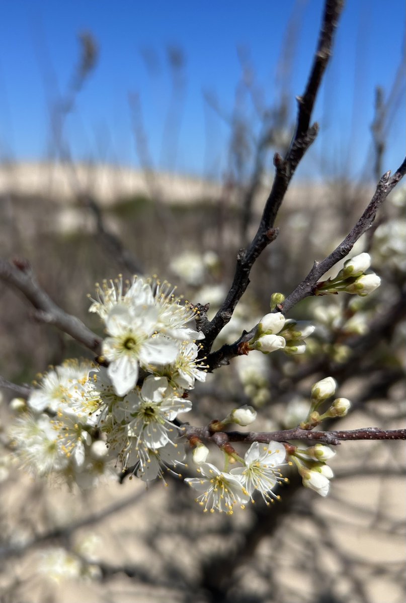 angeladegroot8's tweet image. Happy Monday!
#positivity #optimism #hope #faith #happymonday