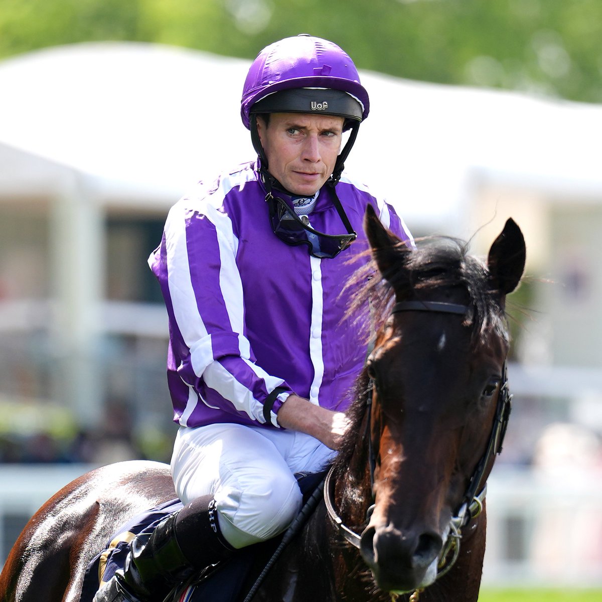 At The Races tweet media