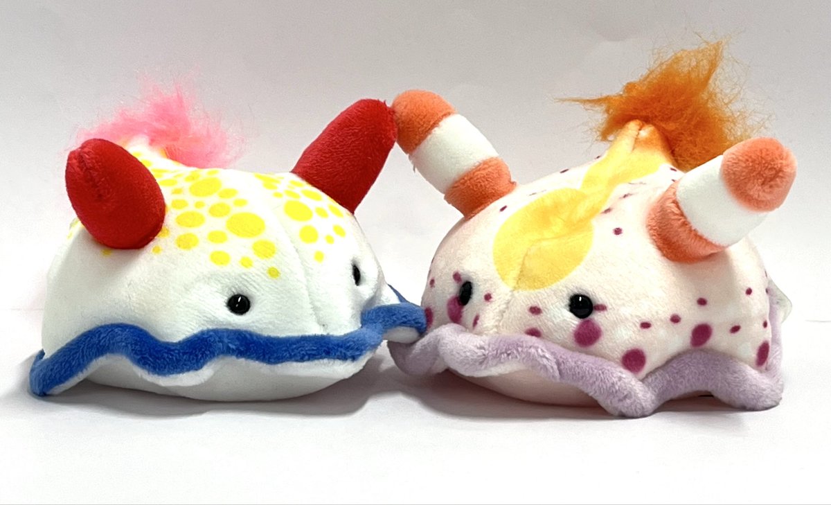 ぬいぐるみのテイクオフ【公式】 tweet media