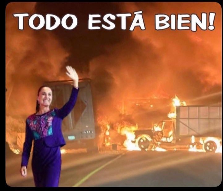 Alpacine_77 tweet media