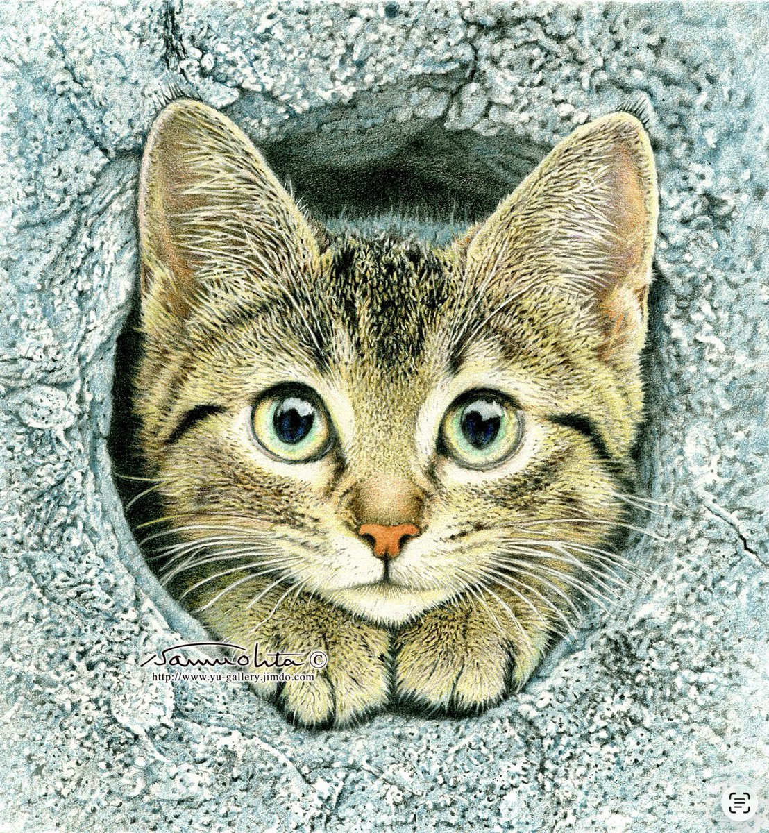 sekisyusai1's tweet photo. キジトラ子猫の色鉛筆画が完成しました。
#キジトラネコ　#色鉛筆画 https://t.co/FhypCC9mO5