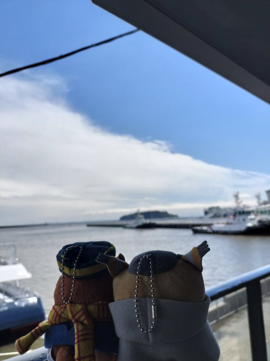 🐒島に行ってきました！
旅アンソロで拙作の舞台として書かせて頂いた場所です。
高波のため残念ながら欠航で上陸できず残念でしたが、ﾎｾﾞに見せ、ﾎｾﾞを見せてきました🫶