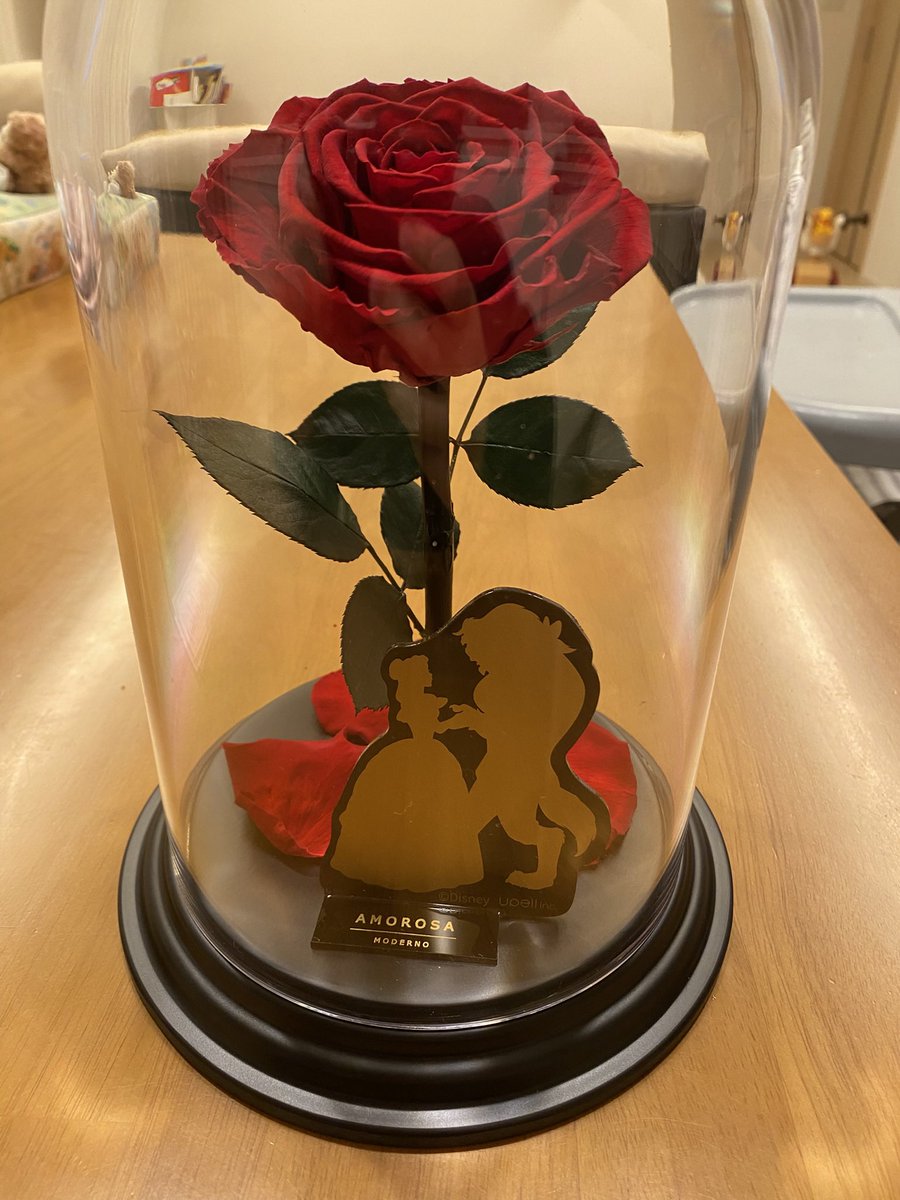 papa9494tg's tweet photo. 妻の誕生日プレゼントで準備した #amorosa さんの美女と野獣のプリザーブドフラワー届きました!
喜んでくれてよかった☺️
#誕生日プレゼント https://t.co/R1hskEb53r
