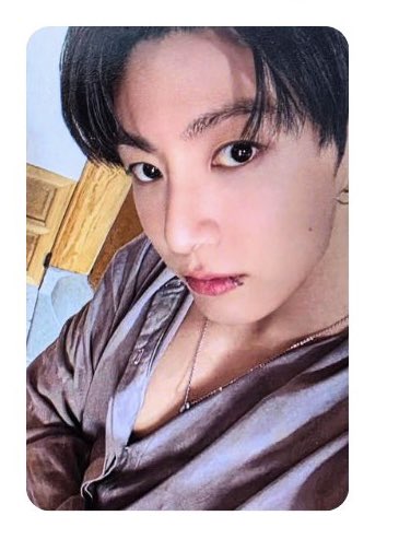 🅐🅡🅘🅡🅐🅝🅖 🐻 tweet media