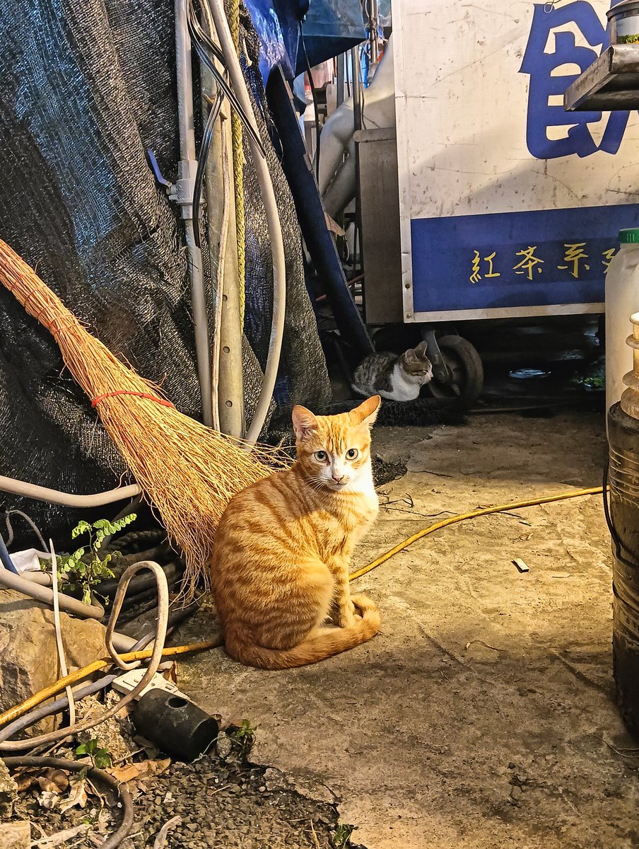 Hyakutake tweet media