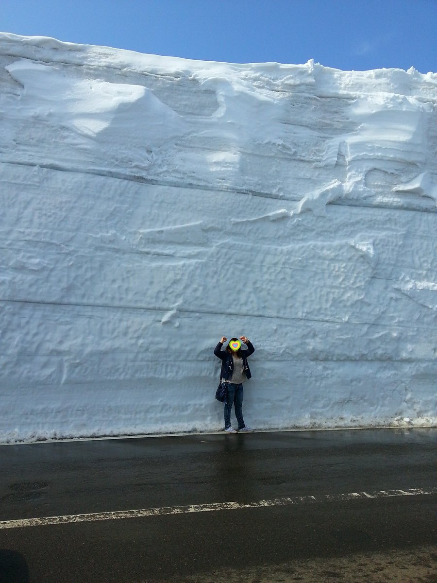 すぽんちゅ@仏教こそ世界最高の宗教 tweet media