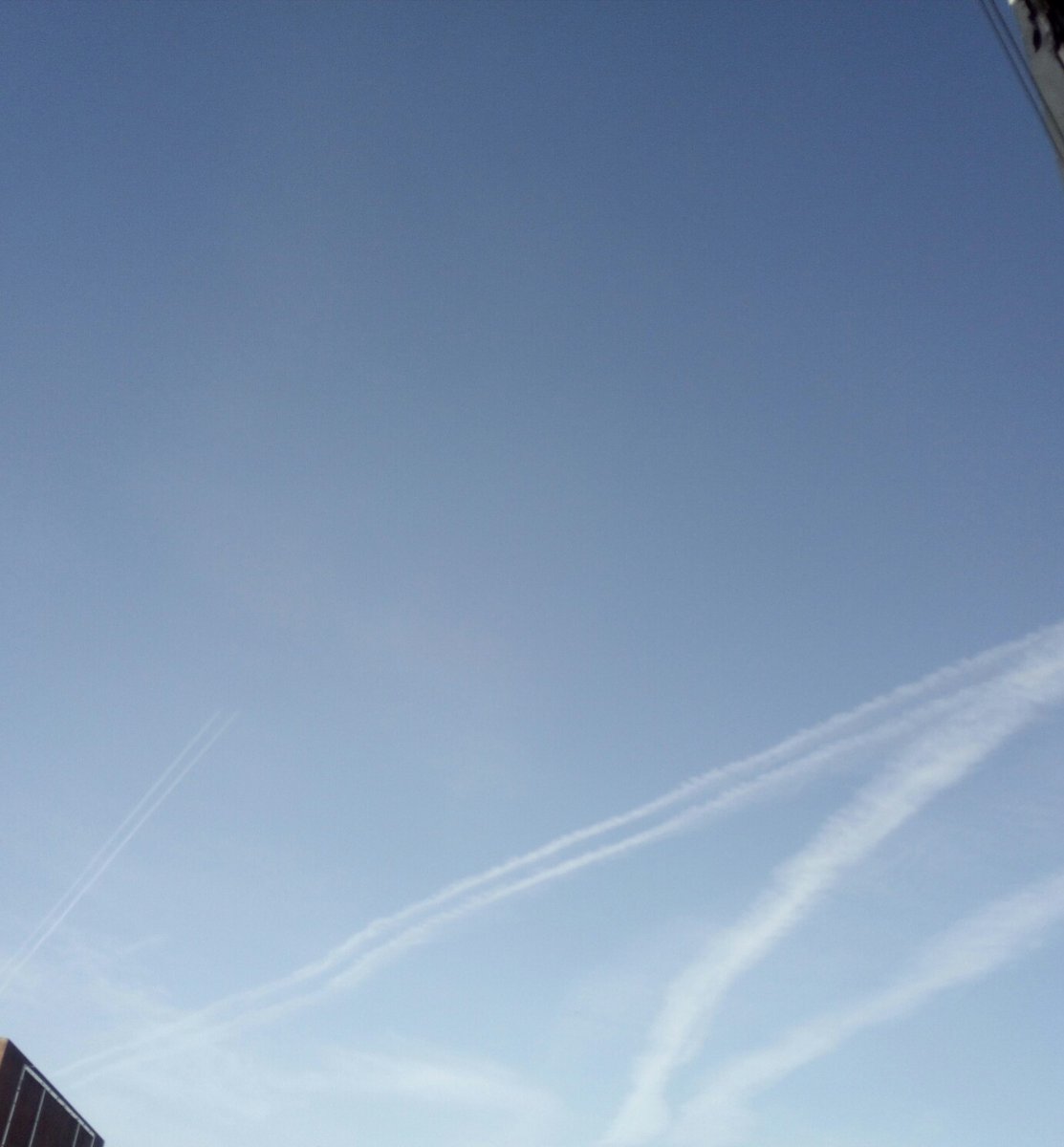 devitocarmine's tweet image. Anche oggi insetticida quotidiano.

Bastardi, figli di satana.

#Chemtrails #Chemicalweapons #geoengineering #skybastard