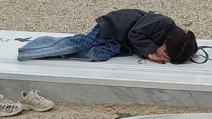 Elena 🇮🇷🦢 tweet media