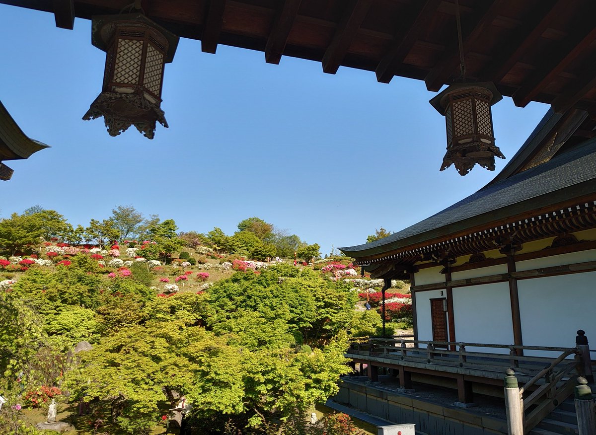 star_tormenta's tweet photo. 先日行った倶利迦羅不動寺の鳳凰殿🌸
青空に鮮やかな花が映えてとてもきれいでした。藤やツツジはもう少しで満開かな。 https://t.co/tn6nlK92rF