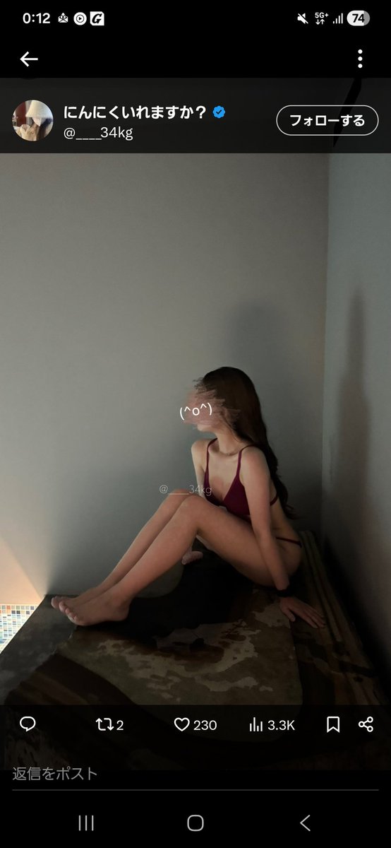 ペリラジカ tweet media