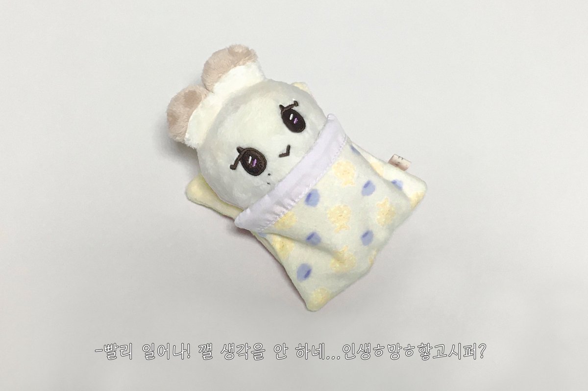 숀키 tweet media