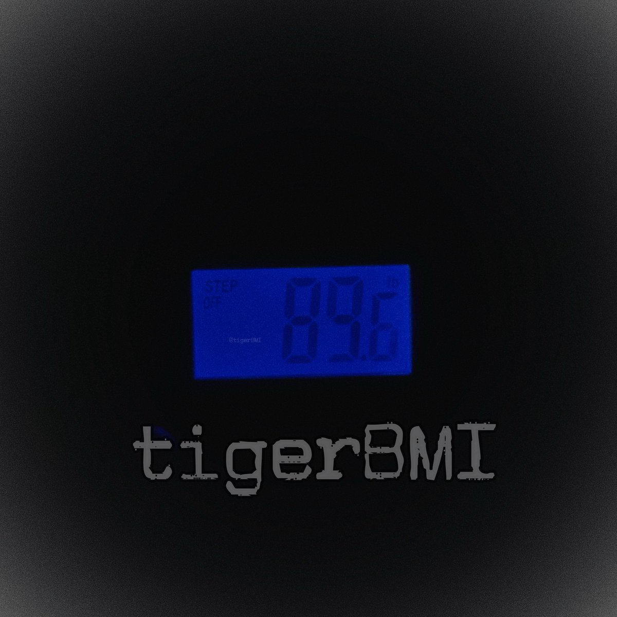 🐯TylerOMAD tweet media