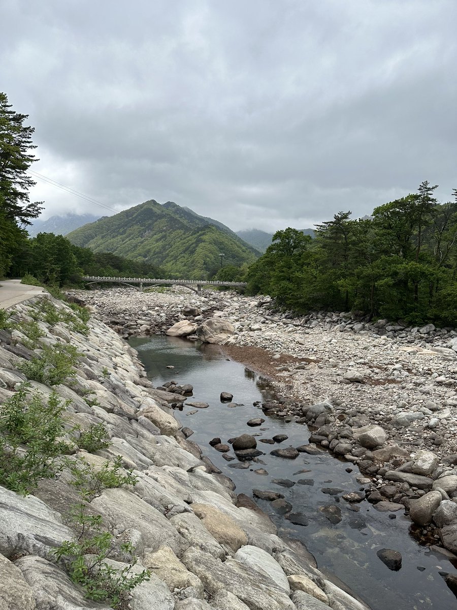 민탐탐🇰🇷🇺🇸🇯🇵 tweet media