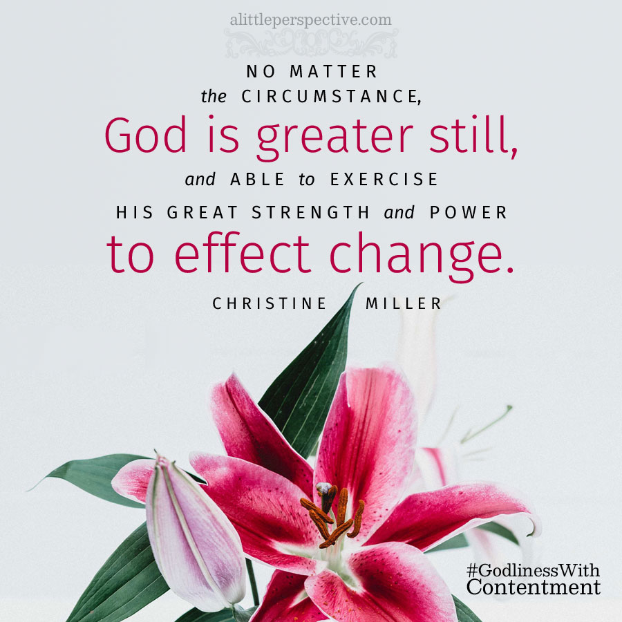 Christine Miller tweet media