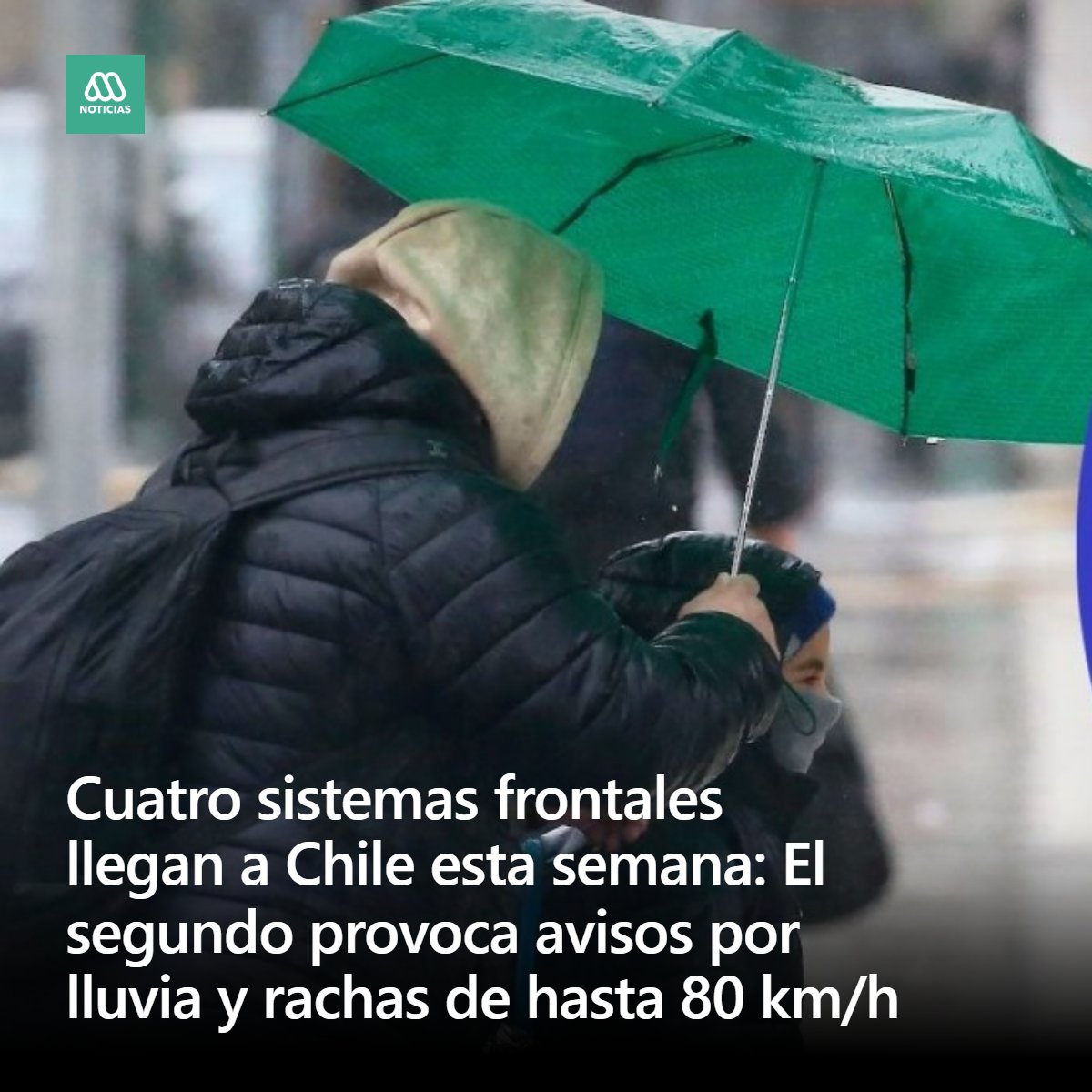 Meganoticias tweet media