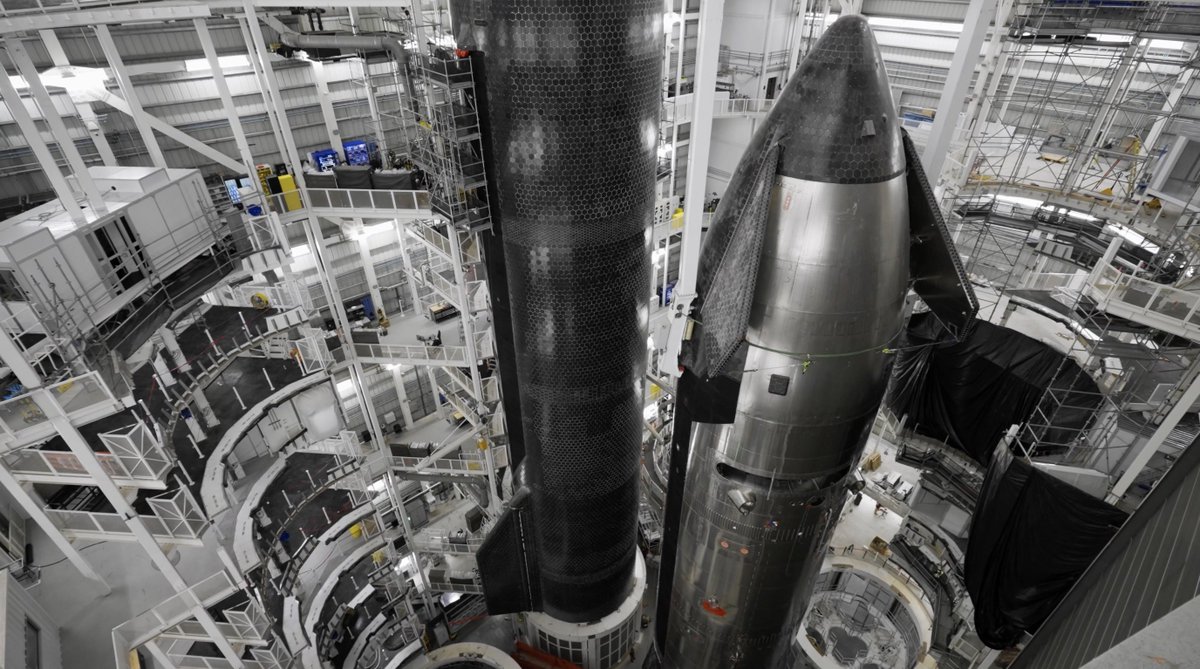 دونـا سعود tweet media