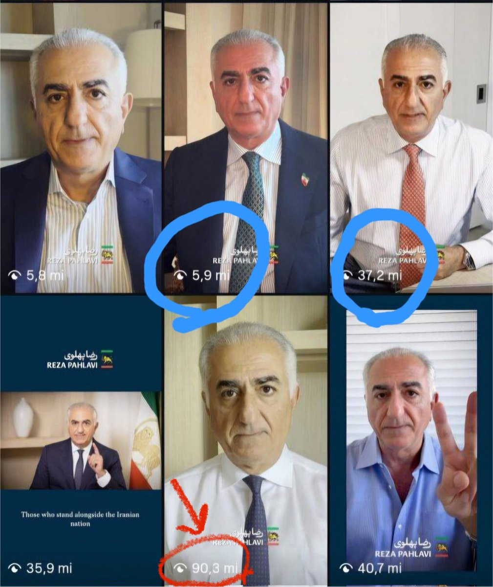 میمون مست tweet media