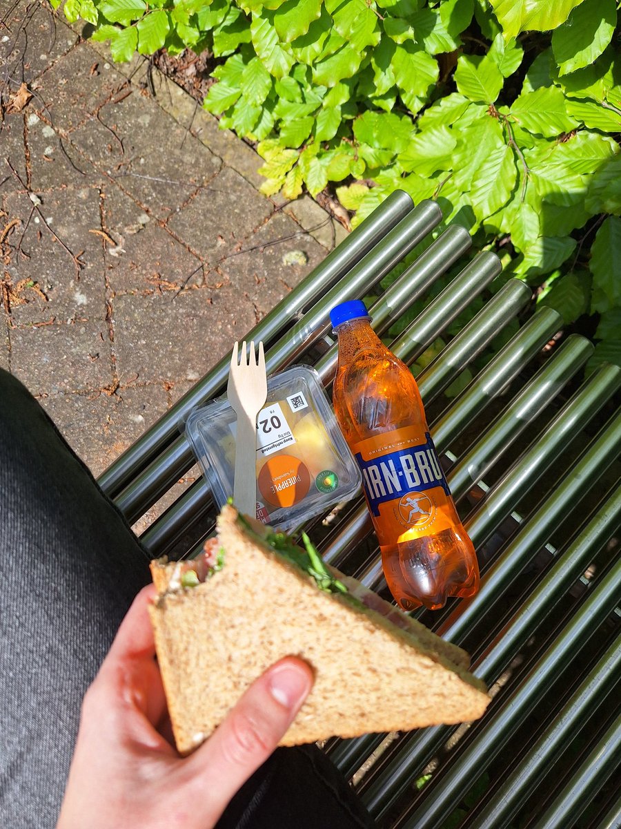 antares 💫 tweet media