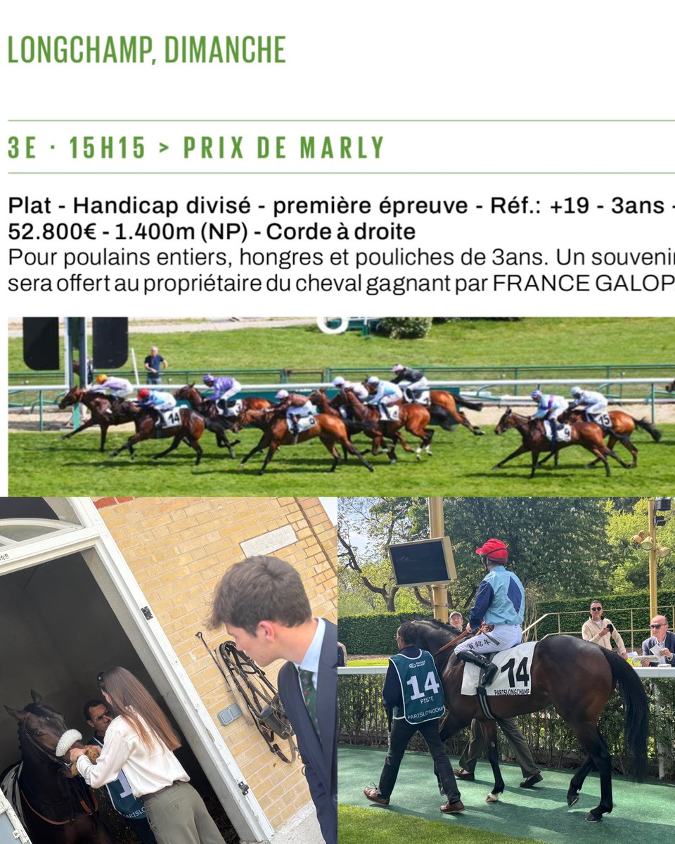 HarasLieu's tweet image. 🥈Rozarion is fast second 🚀 in Prix de Marly over 1400m at @parislongchamps 🇫🇷

#moretocome