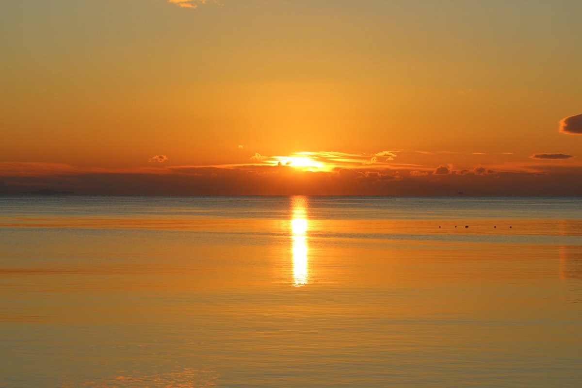 粂治郎 ❤︎ 皆様に感謝🍀 tweet media