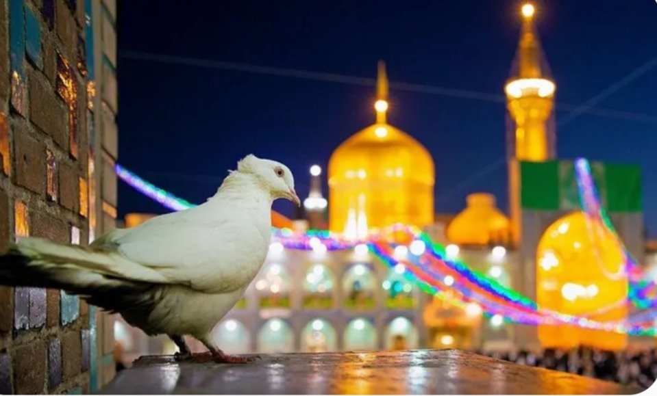 مشکات 😇 tweet media