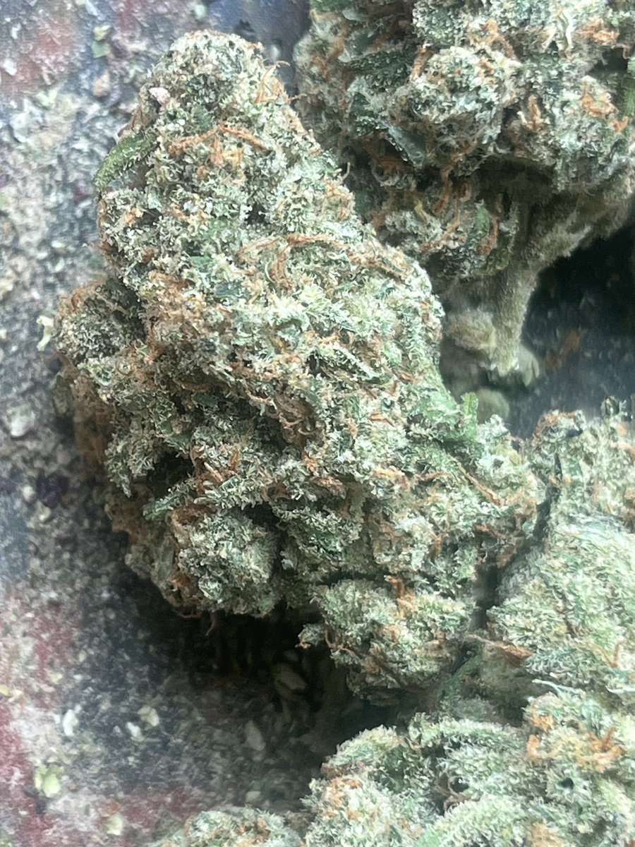 BIGHURT's tweet photo. #wakenbake
#flowbox
Good morning everyone
Have a great day today https://t.co/zvmSXGkSqB