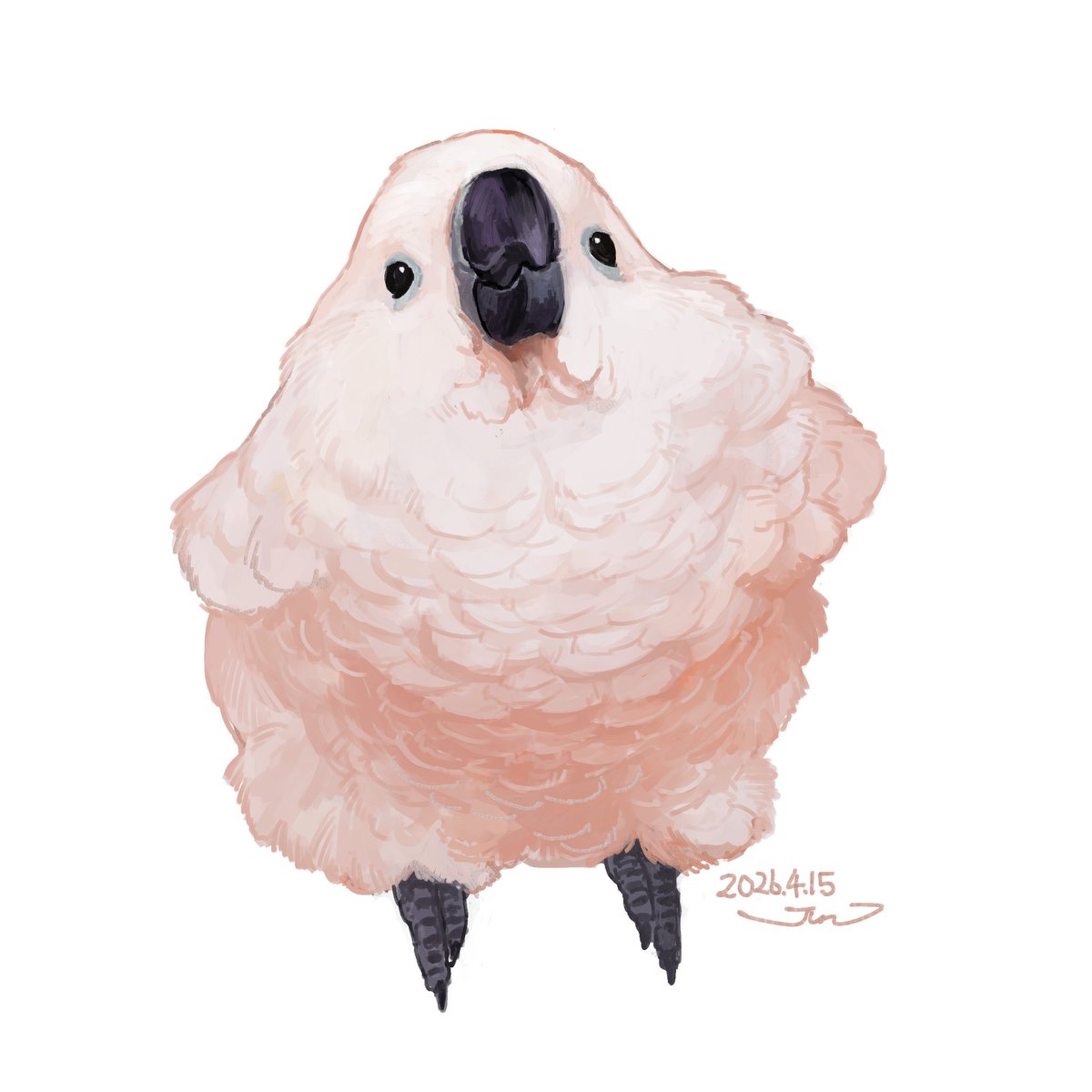 とりのすジュン tweet media