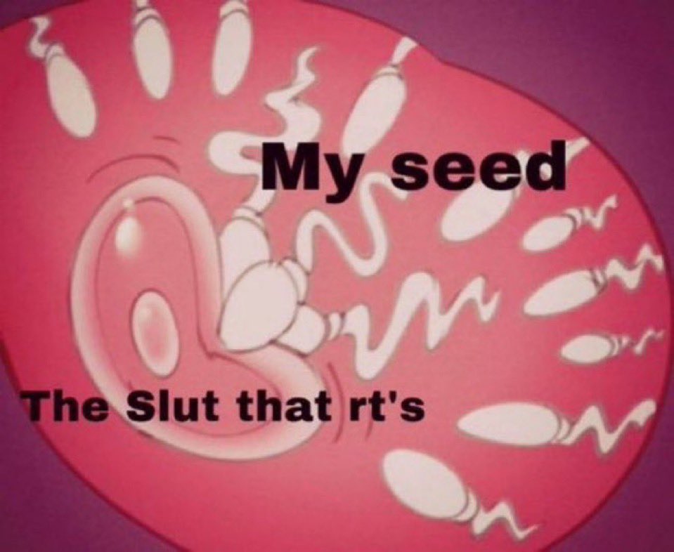 Sinder 🔥 the 🔥lava 🌋dragon 🔥breeder tweet media