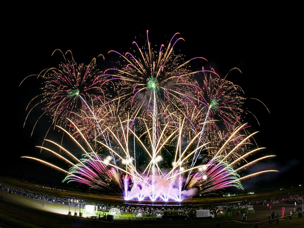 ひで。 tweet media