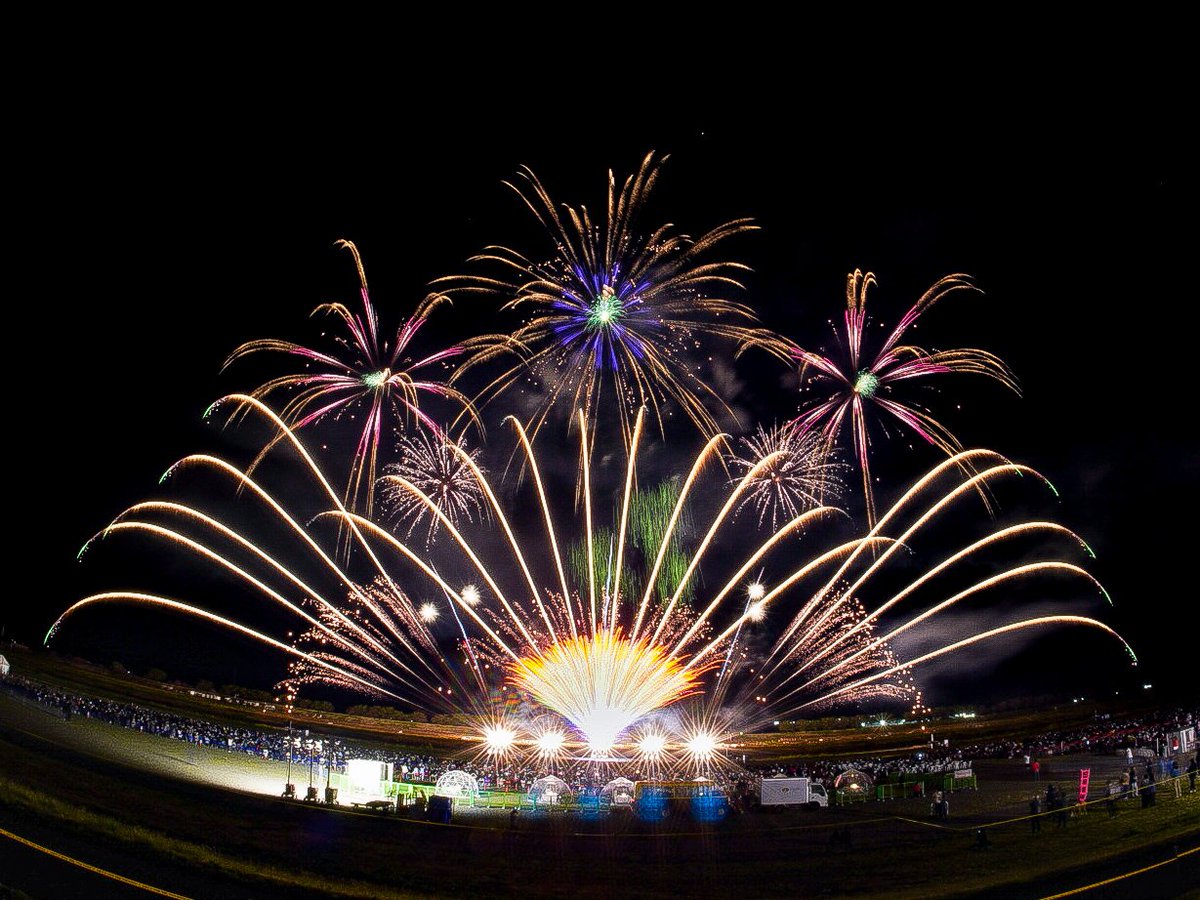 ひで。 tweet media