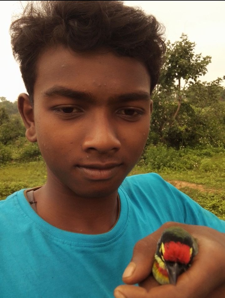 Omprakashmuru's tweet image. yah Kon sa pachhi🕊️🕊️🕊️ hai jaldi comment me batao 🐦🐦 #Pachhi #OmprakashMuru #Comment #India