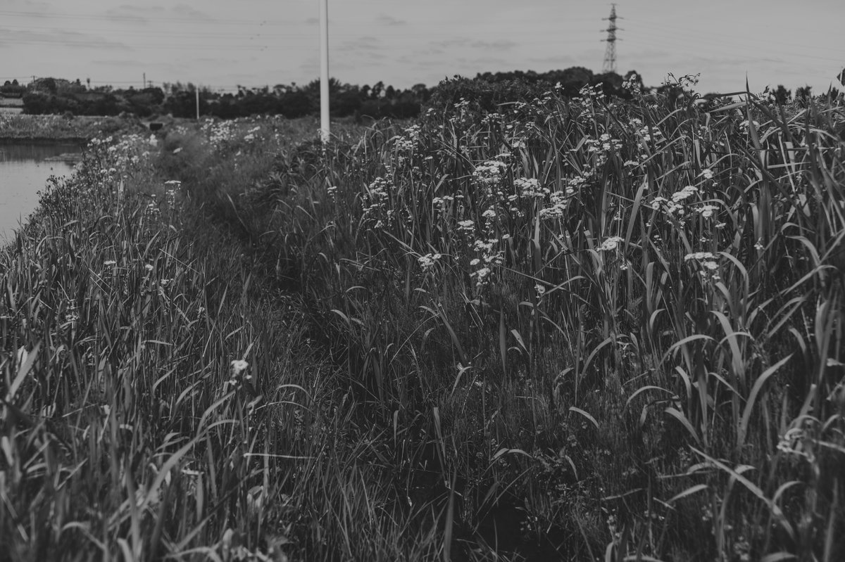 akabeko63's tweet image. #2463
#monochrome #モノクローム