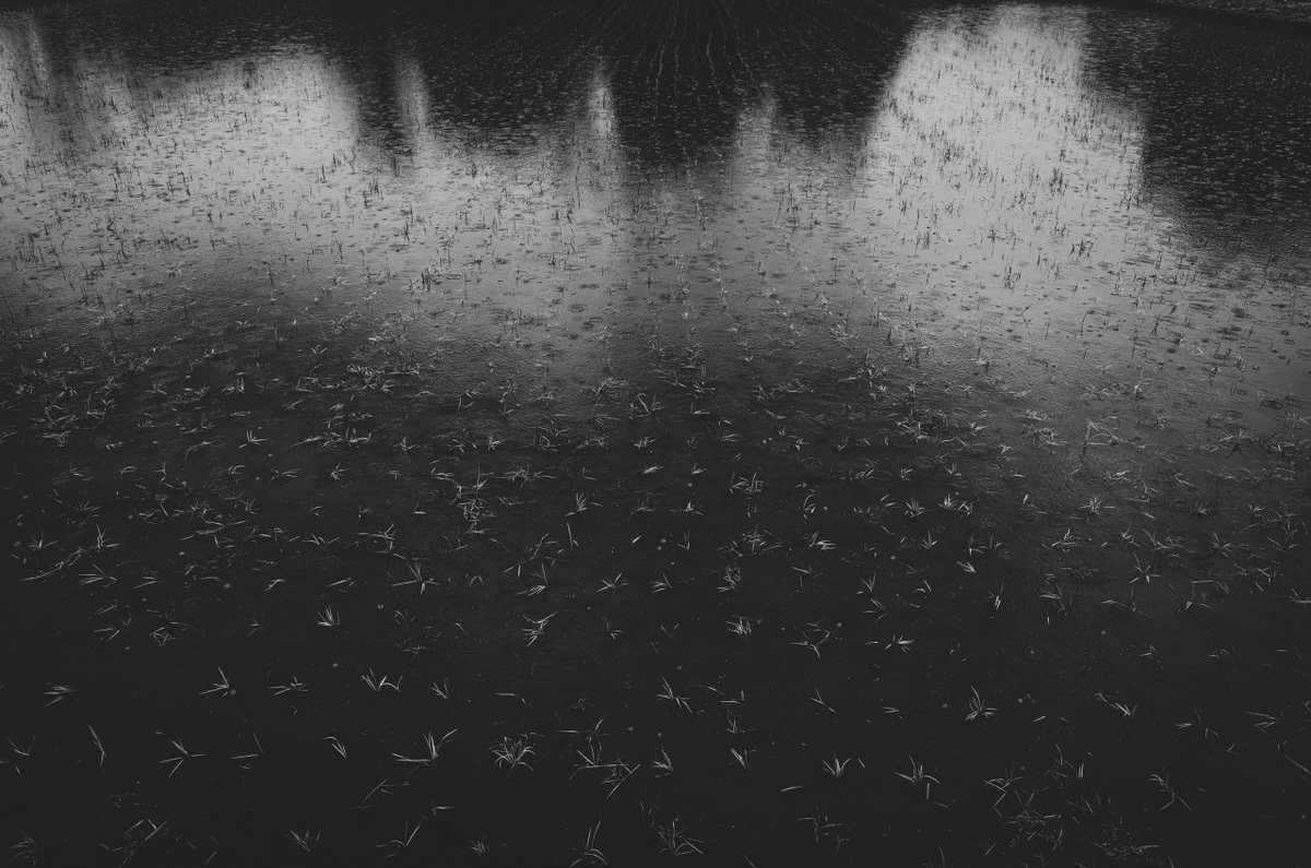 akabeko63's tweet image. #2463
#monochrome #モノクローム