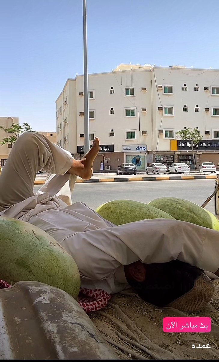 عاتكة 🇸🇦 - سبحان الله وبحمده tweet media