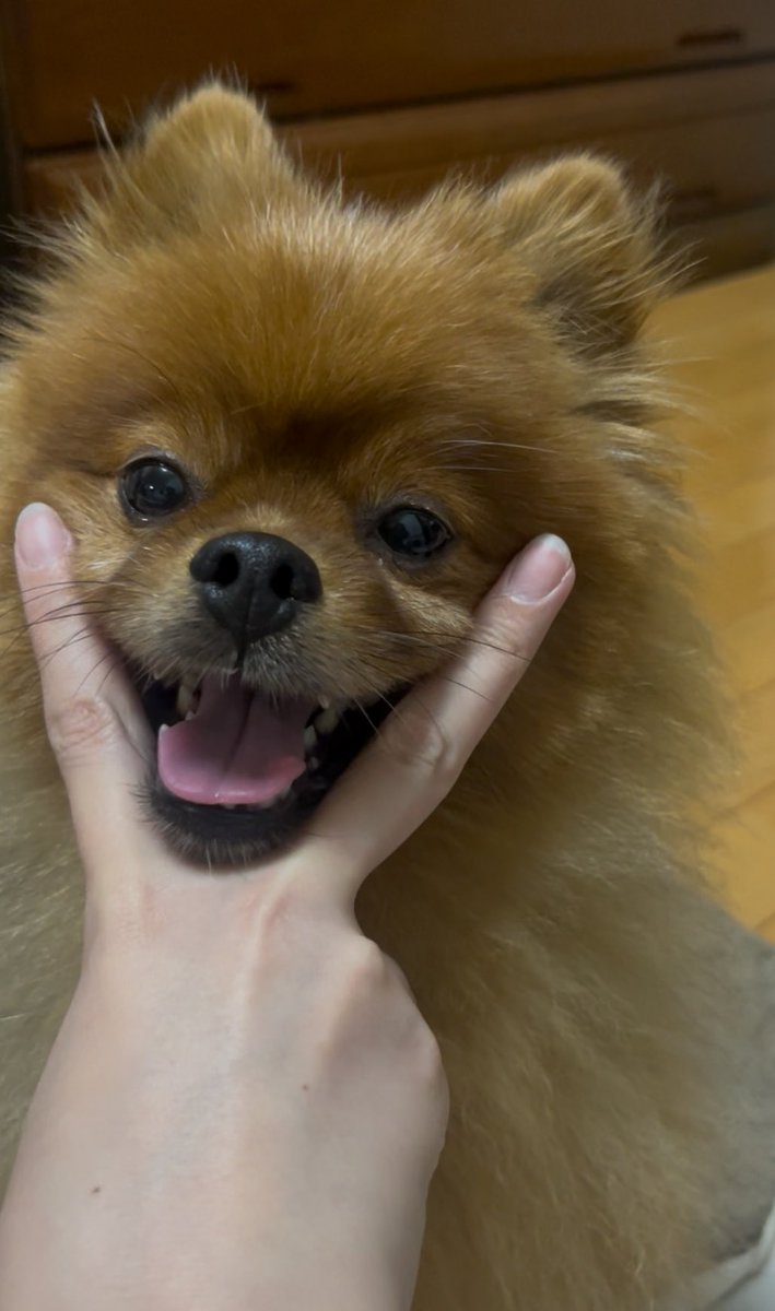 ちゃちゃまる tweet media