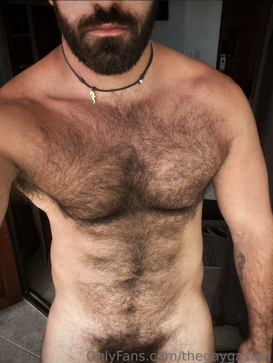 TheGayGaston 🧔🏻‍♂️🌈 tweet media