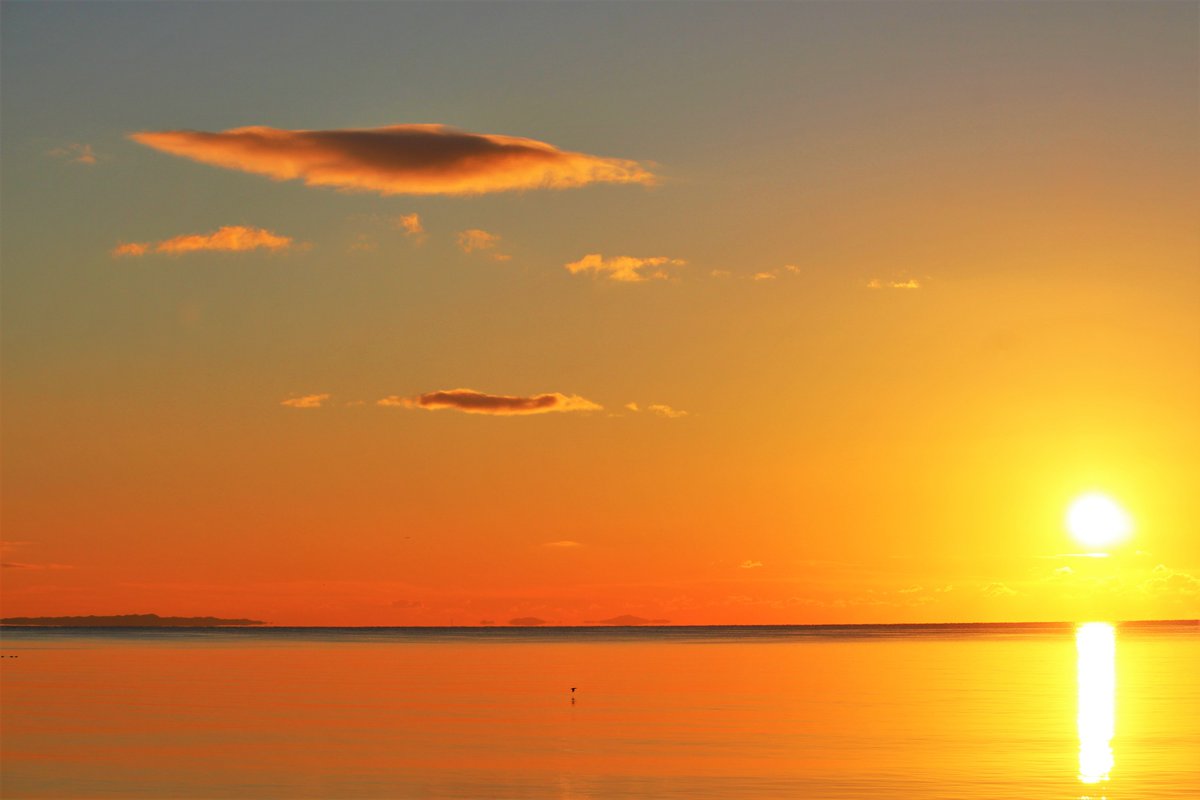 粂治郎 ❤︎ 皆様に感謝🍀 tweet media