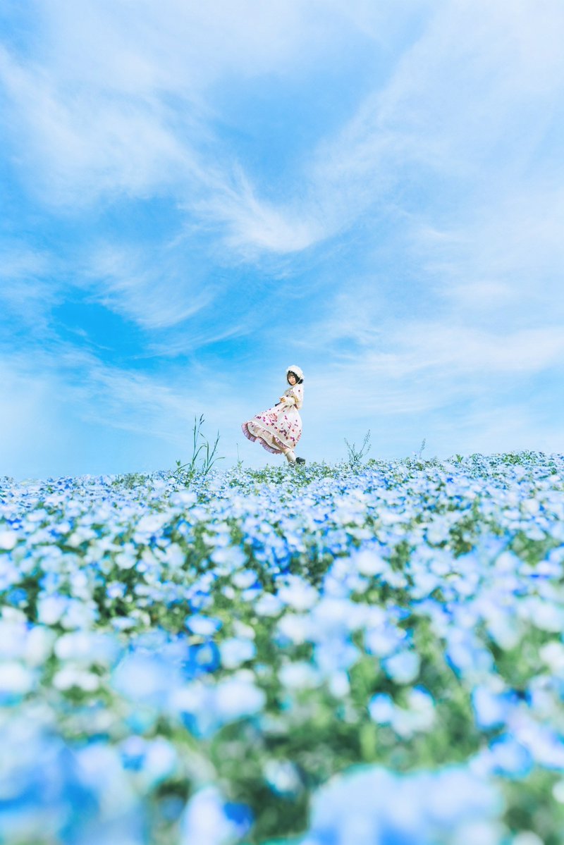 涼白 ましろ໒꒱ 🐾6/13-14個展 tweet media