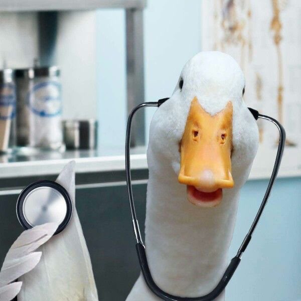 白鳥 啓 tweet media