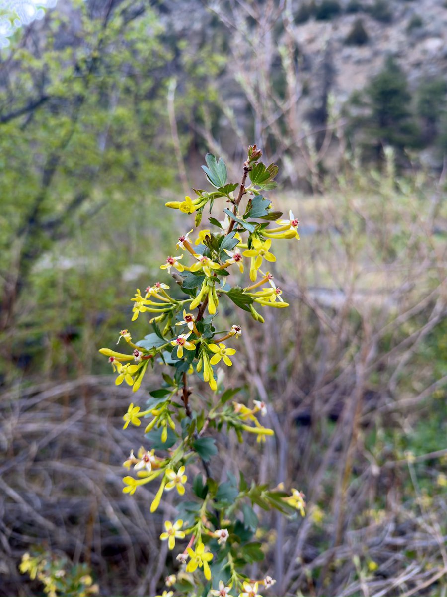 mr_visual_me's tweet image. Colorado weekends #relaxing #nature #hiking
