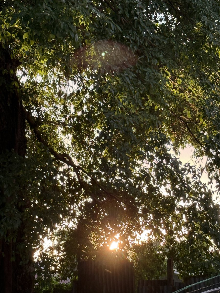 wedwo ( ꈍ◡ꈍ) tweet media