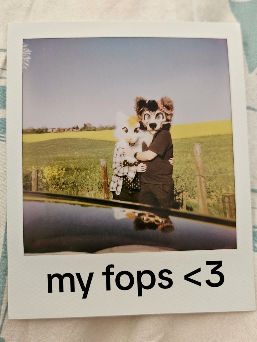 fopsprincess's tweet photo. just a couple photos from #lfm and with my fops <3
miss you already honey x
with @Otis_Mars, @AthelWah, @Melacheee &amp; @Sammi_Wammi4377 
.͏ ͏ ͏
.͏ ͏ ͏
.͏ ͏ ͏
#furry #furryfandom #furmeet #fursuit https://t.co/Of24PzmSoe